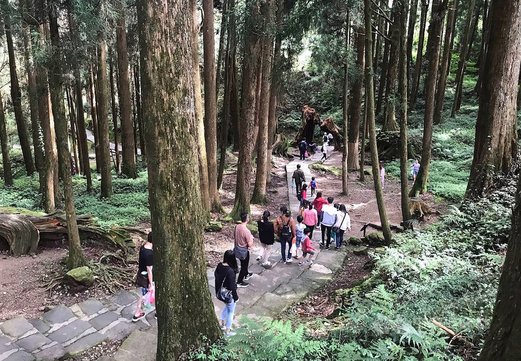林務局24日表示,10月1日至11日期間,將提供阿里山、太平山、大雪山、墾丁等國家森林遊樂區入園門票半價優惠。圖為民眾走訪阿里山國家森林遊樂區。(嘉義林管處提供)中央社記者黃國芳傳真 109年9月24日
