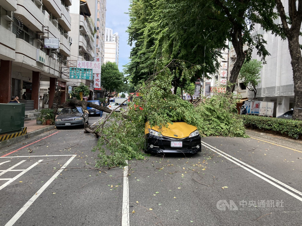 台中市西區忠明南路、精誠七街口一棵路樹25日下午突然攔腰折斷,殃及停放路旁的自小客車及行經該處的計程車,所幸未傳人員受傷。(民眾提供)中央社記者趙麗妍傳真 109年9月25日