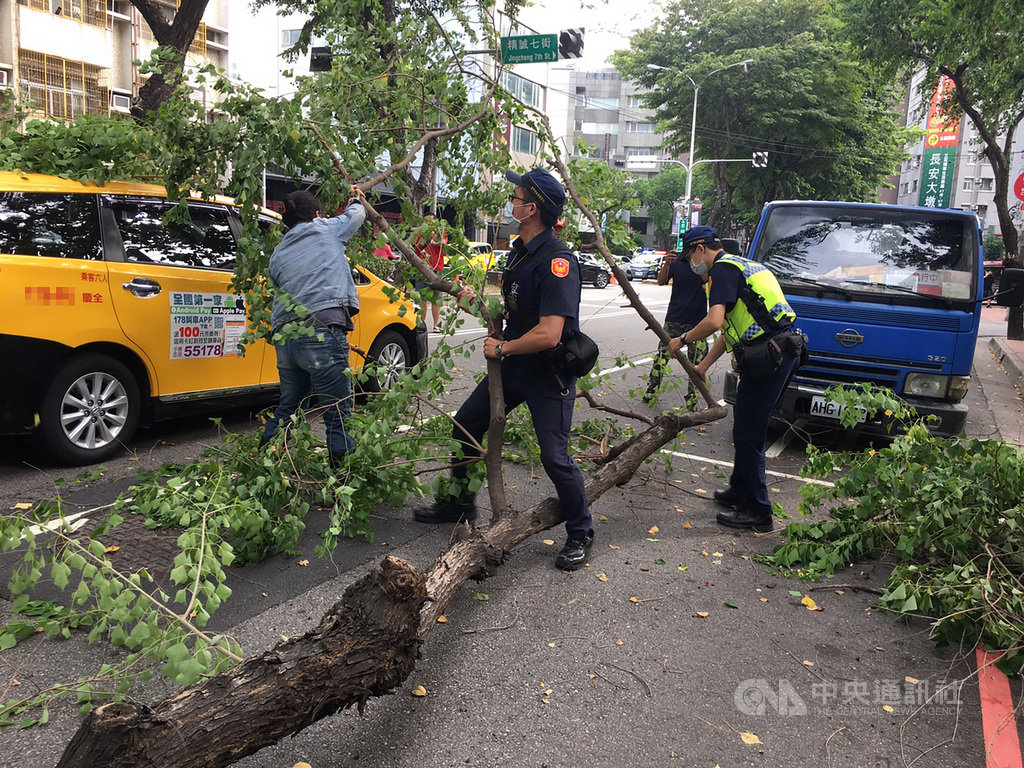 台中市西區忠明南路、精誠七街口25日下午發生路樹斷裂倒塌意外,現場一輛計程車及自小客車遭波及,警方獲報到場協助處理。(民眾提供)中央社記者趙麗妍傳真 109年9月25日