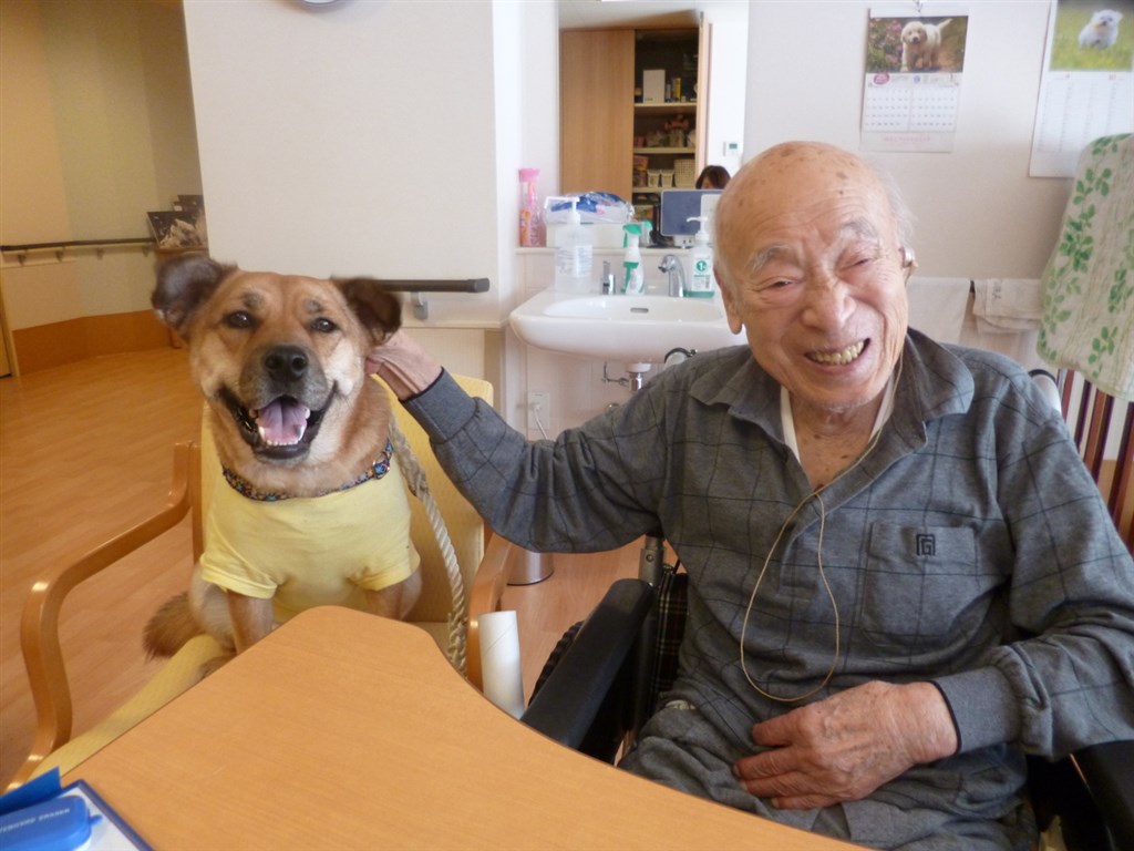 日本一隻名叫「文福」的米克斯犬(左),在即將被安樂死前由一所老人中心領養,並展現出不可思議的力量,就是「預知」並陪伴高齡者走完最後一程。(圖取自櫻之里山科網頁sakura2000.jp/publics/index/34)