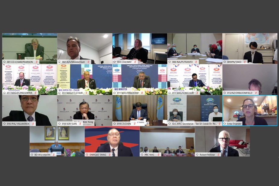 APEC衛生經濟會議今年受武漢肺炎疫情影響,首度線上舉行,台灣由衛福部長陳時中(第3排中)率防疫相關部會與會。(圖取自APEC網頁apec.org)