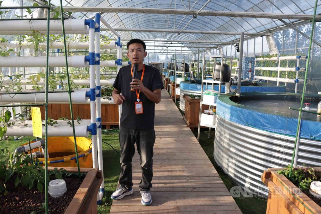 在上海崇明區的紅橋村,當地以合作社方式經營,嘗試發展智慧型環保農業,以電子遙控控管溫室遮陽和餵食魚苗,並嘗試魚菜共生。圖為村民顧洪斌在介紹。中央社記者張淑伶上海攝 109年9月27日