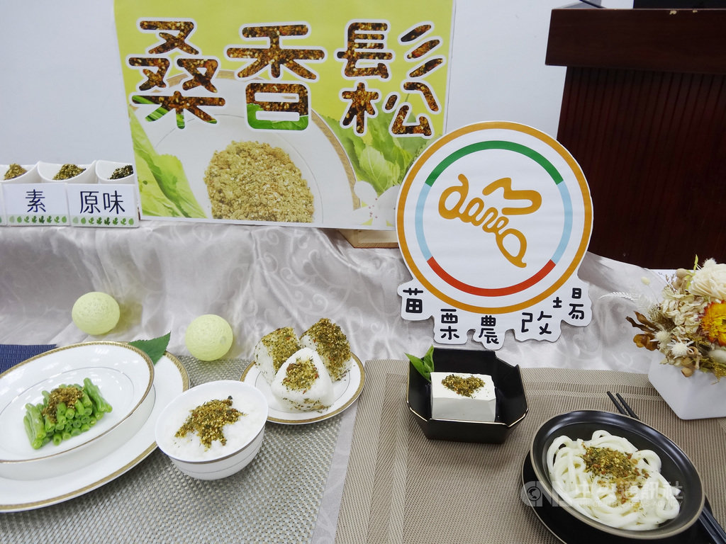 苗栗農改場利用蠶寶寶吃的桑葉,透過瞬間殺菁(去除青草味)保留原味與香氣,再經過中低溫烘烤呈現海苔酥脆口感,以及多次配方組合,調和出少糖、減鈉、低碘、高纖的嶄新健康食品「桑香鬆」。中央社記者楊淑閔攝 109年9月29日