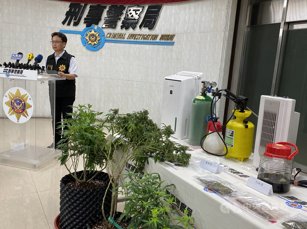 從事貨運公司倉儲人員的李姓男子向網友購買大麻種子,再自行透過網路自學栽種,在新北市永和區自宅透天厝從種子開始培植,經不斷移植分株後,發展成大麻工廠規模,刑事局年初接獲線報,長期跟監蒐證,日前一舉破獲並起出各式證物,29日舉行破案記者會。中央社記者黃麗芸攝 109年9月29日