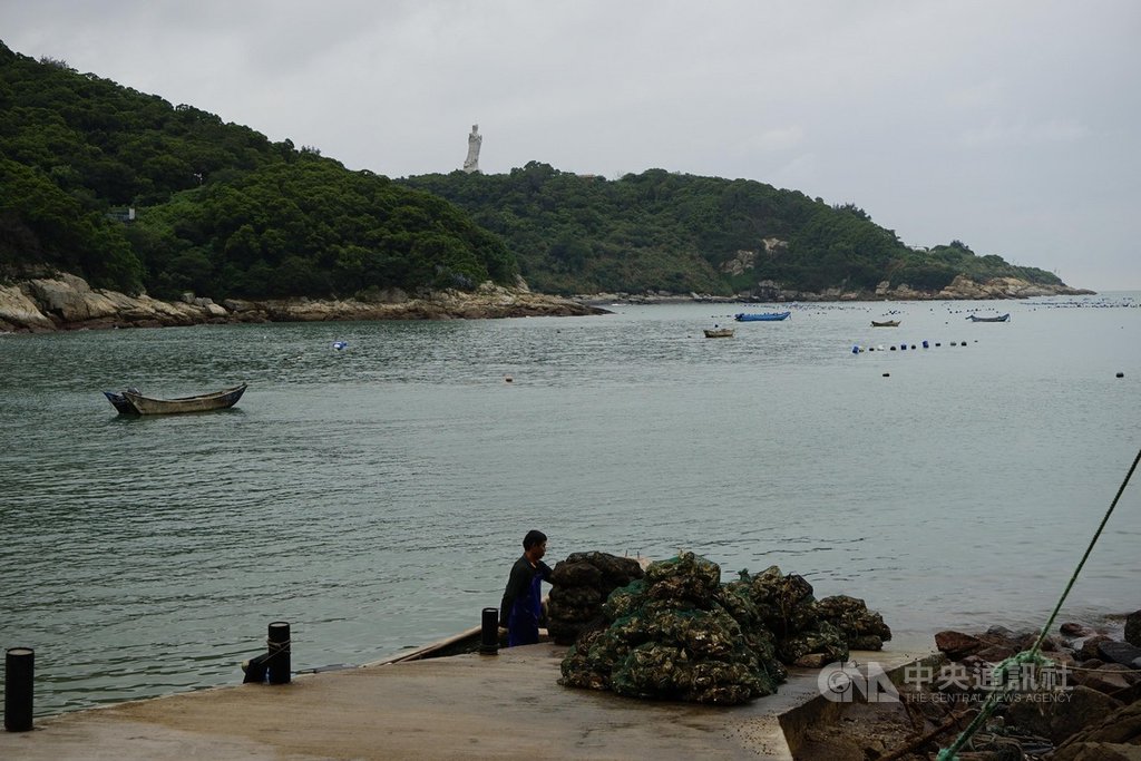 馬祖可養出肥美淡菜,中秋節進入銷售高峰,馬祖四維村養殖業者正在處理待出貨的淡菜與牡蠣。 中央社記者邱筠攝 109年9月29日