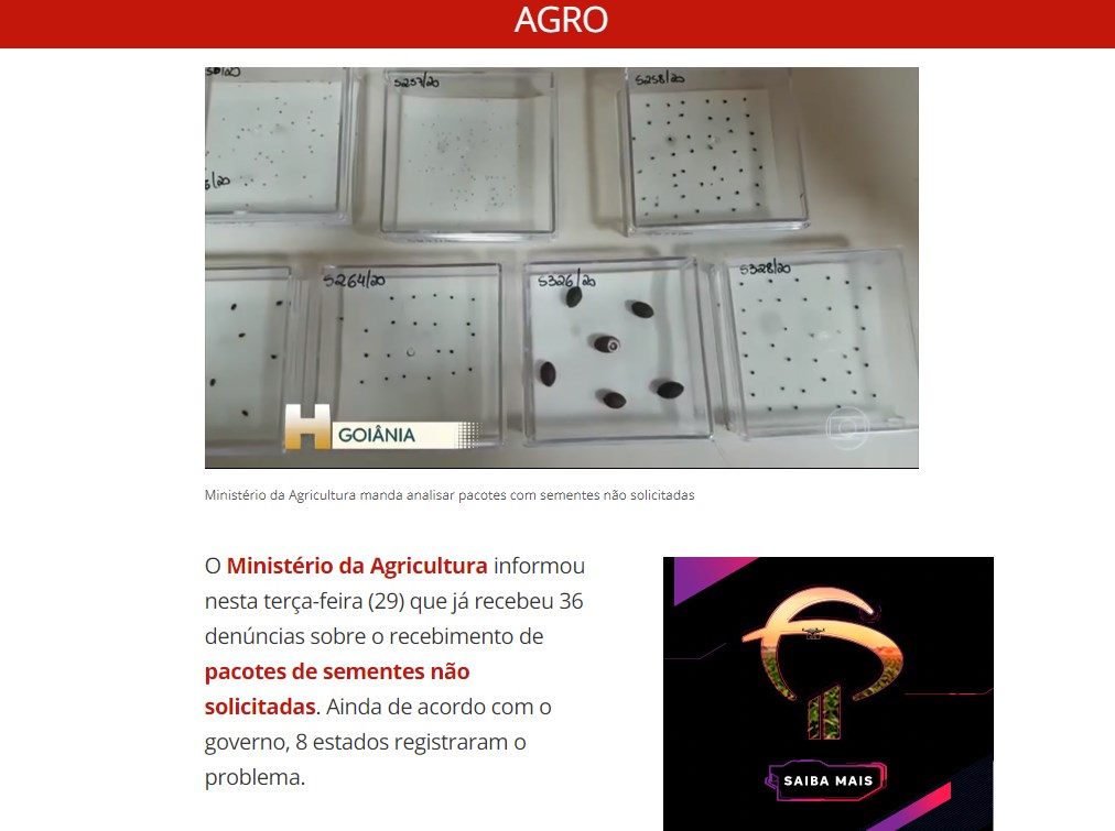 巴西農業部29日指出,接獲8州36起民眾收到從國外寄來、未經訂購的不明種子郵包的投訴案例,已展開調查。(圖取自巴西新聞G1網頁g1.globo.com)