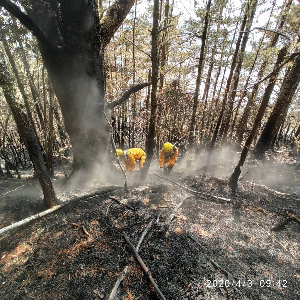台灣每年10月起至隔年4月是森林火災的好發期,林務局30日表示,根據統計,台灣每年平均發生43.8起森林火災,平均動員1200人次的救火人力及數百架次的直升機參與滅火工作。圖為林務局森林護管員清理地面殘火。(林務局提供)中央社記者吳欣紜傳真 109年9月30日