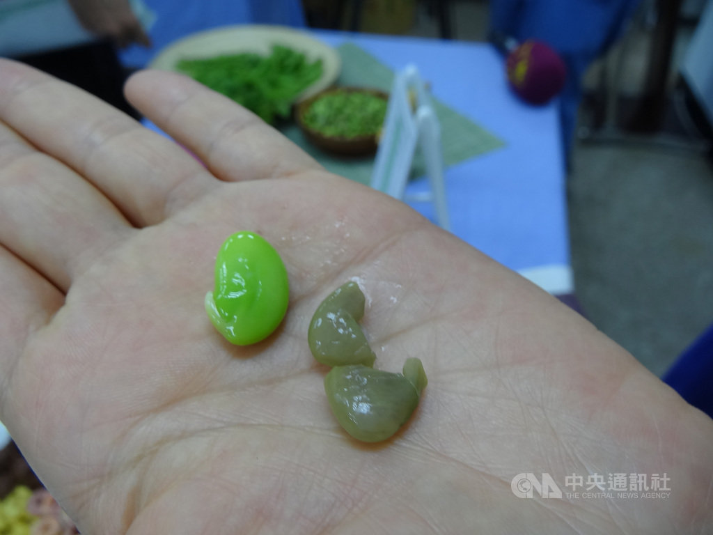 農委會高雄區農改場跟具備真空乾燥技術廠商合作,研發「喝的新綠金」凍乾毛豆粉,所使用的是芋香濃郁的「高雄11號」毛豆。中央社記者楊淑閔攝 109年10月13日
