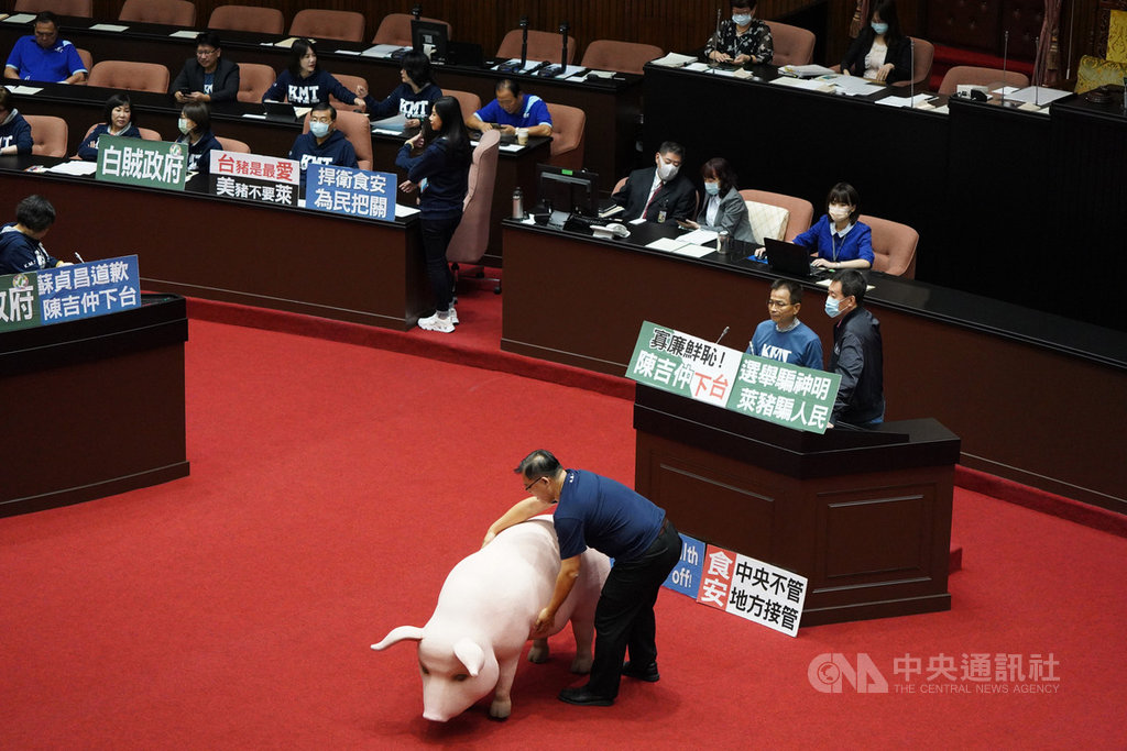 行政院長蘇貞昌13日再度受邀到立法院進行施政報告,但國民黨立委不滿蘇貞昌未對政府放寬含萊克多巴胺美豬進口道歉,持看板占據官員席、備詢台及發言台,並在議場內擺放道具豬,杯葛議事。中央社記者徐肇昌攝 109年10月13日