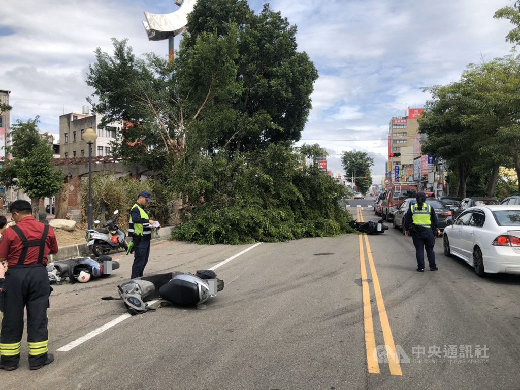 苗栗縣頭份市自強路與中華路口公園路樹17日上午突然有大片樹枝斷裂傾倒,造成行經路段多部機車閃避不及,至少4、5名機車騎士遭壓傷。(警方提供)中央社記者魯鋼駿傳真 109年10月17日