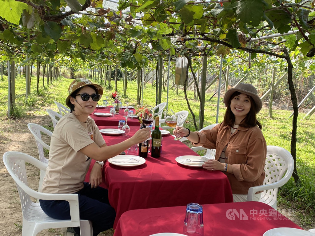 受武漢肺炎疫情影響,邊境管制,讓國旅市場大爆發並有所轉型,朝深度旅遊發展,也挖掘出不少新景點,如台中外埔永豐社區,是全台少數有著葡萄酒莊的景點。中央社記者余曉涵攝 109年10月25日