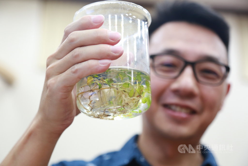 中山大學海洋生物科技暨資源學系助理教授劉商隱說,在未來大氣二氧化碳持續上升情境下,台灣須正視海草多樣性與長期監測研究並加強科學教育,宣導海草床的重要性,另方面設置海草保護區並進行復育保護這些「台灣藍碳」。(中山大學提供)中央社記者王淑芬傳真 109年10月26日
