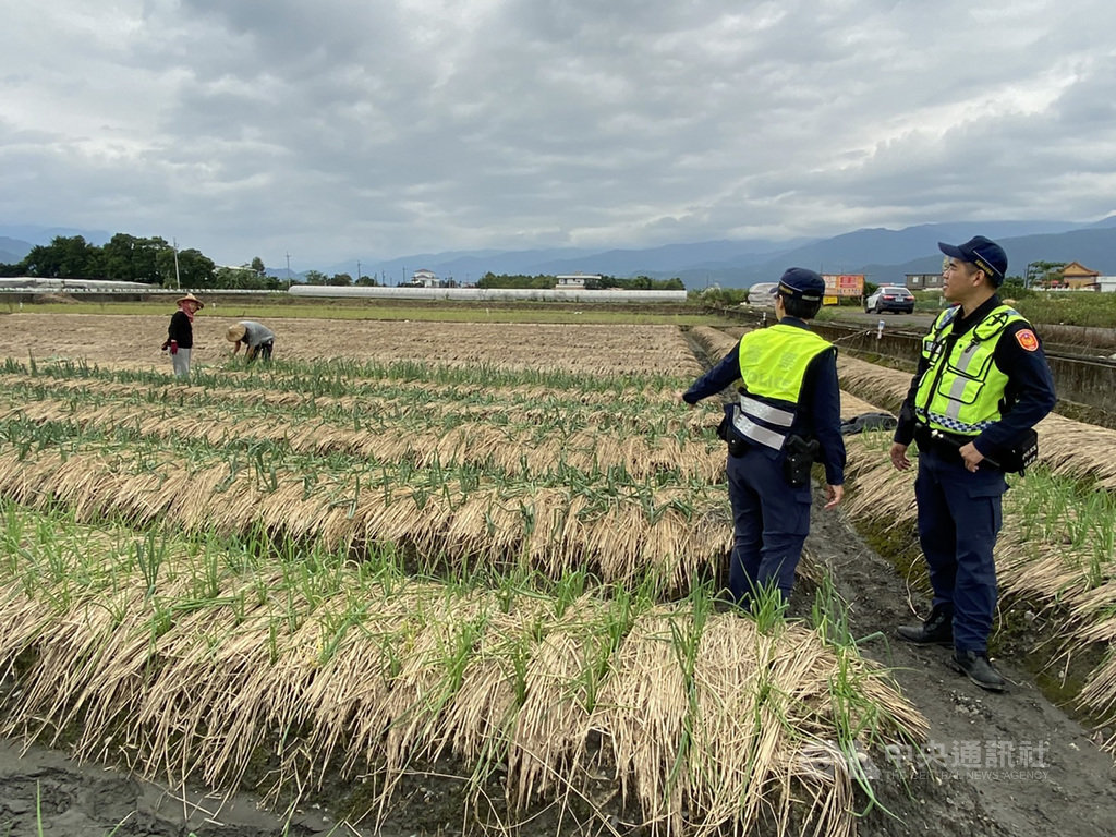 宜蘭三星蔥因近日大雨受損,出貨量少,每公斤平均拍賣價飆到新台幣200元以上,也傳出零星竊案。當地警方27日啟動護蔥專案,在重點地區加強巡邏,保護農民心血。(警方提供)中央社記者沈如峰宜蘭縣傳真 109年10月27日
