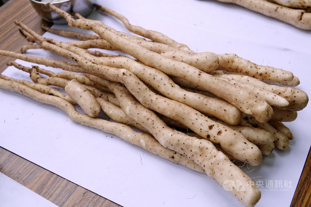 新北市山藥以台灣野生特有品種「基隆原生種山藥」著名,肉質Q彈廣受消費者喜愛。(新北市農業局提供)中央社記者黃旭昇新北市傳真 109年10月31日