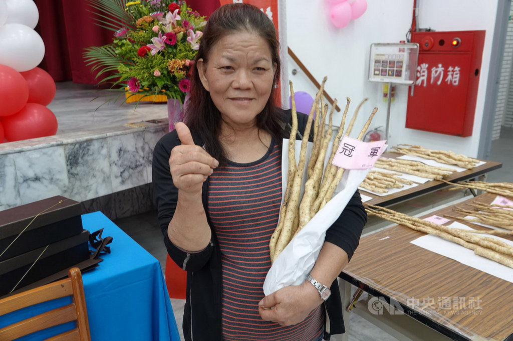 新北市109年度平溪區山藥品質評鑑的非穴管栽培冠軍為潘辜素親,她說,為種出高品質的山藥,特別採用山藥「零餘子」種植,有別於一般常見方式,需多出一整年的時間才能採收。(新北市農業局提供)中央社記者黃旭昇新北市傳真 109年10月31日