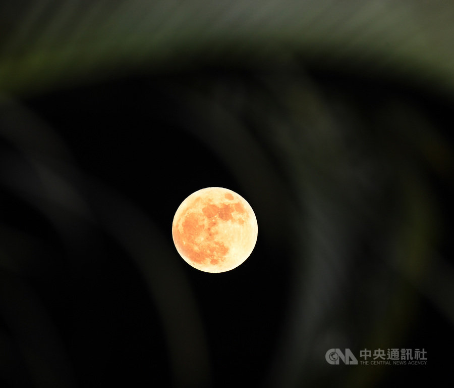10月的第2次滿月就出現在31日,這種天文現象稱為「藍月」,其實僅是曆法上的巧合,月亮也不會變成藍色,這次「藍月」也是今年最小滿月。中央社記者施宗暉攝 109年10月31日