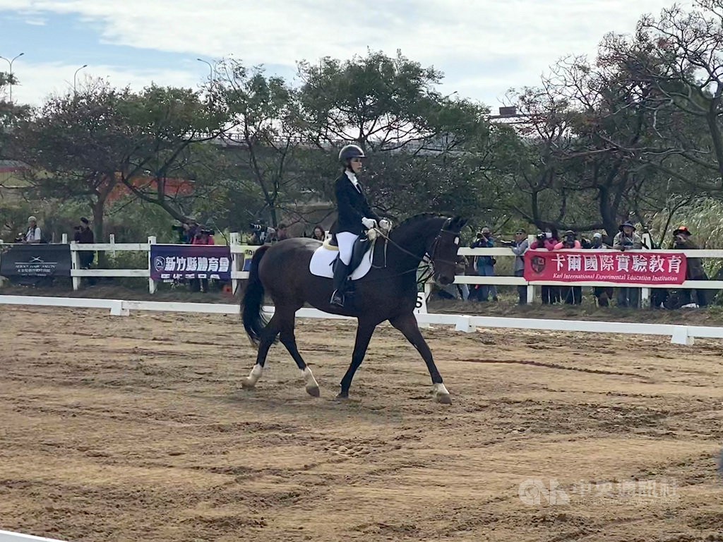 新竹縣體育會馬術委員會14日舉辦109新竹縣年縣長盃馬術錦標賽,逾百名選手參賽,大秀馬場馬術、障礙馬術等技能。中央社記者魯鋼駿攝 109年11月14日