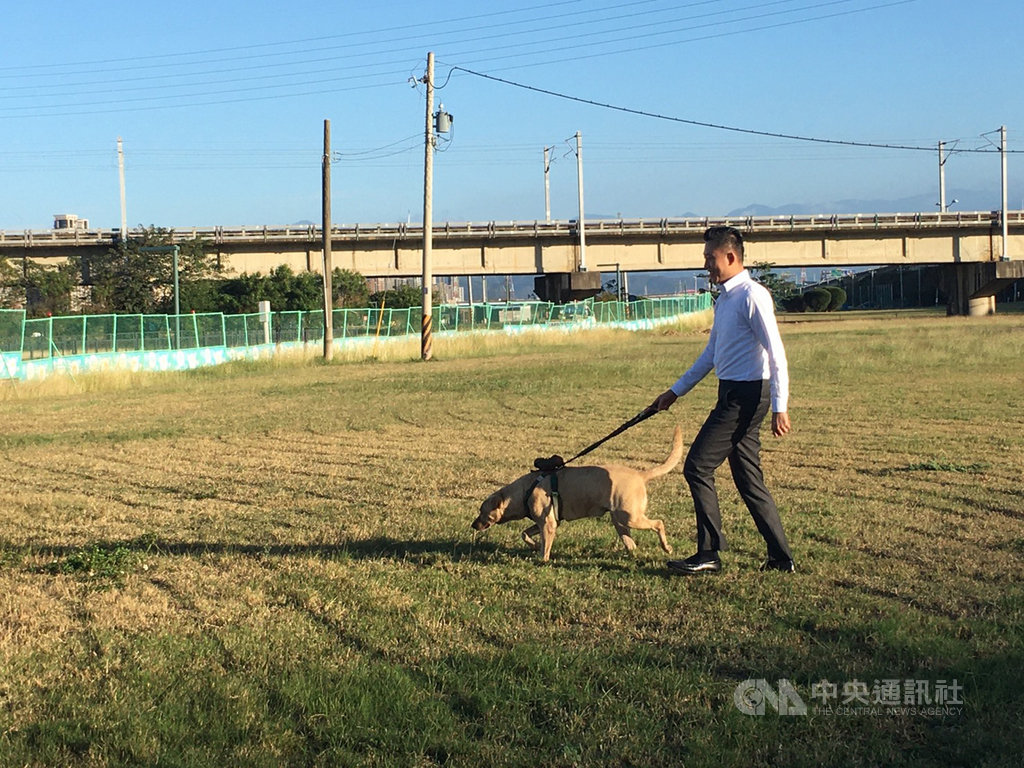 竹市優化狗狗公園提供毛小孩多元寬敞跑跳空間 地方 中央社cna