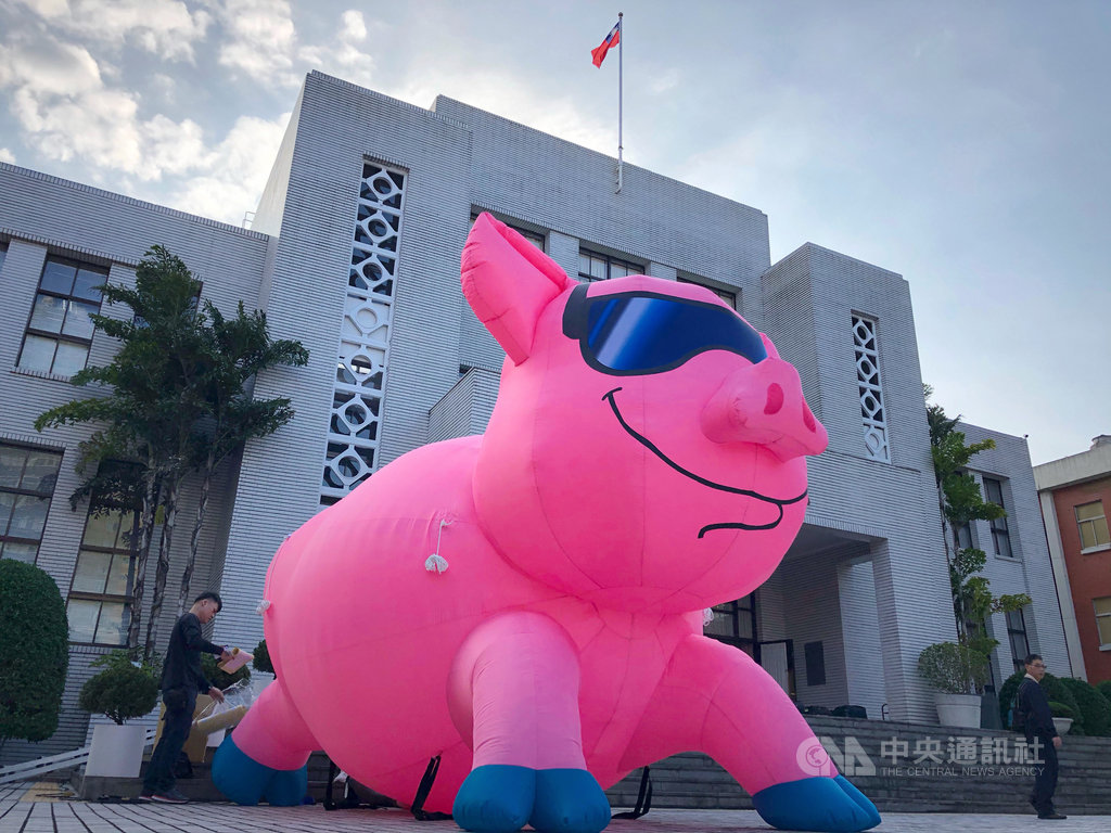 國民黨20日在立法院廣場舉行「秋鬥-反萊豬顧食安大遊行前記者會」,擺放巨大的充氣粉紅豬突顯訴求,呼籲全民22日一起站出來參與。中央社記者王飛華攝 109日11月20日