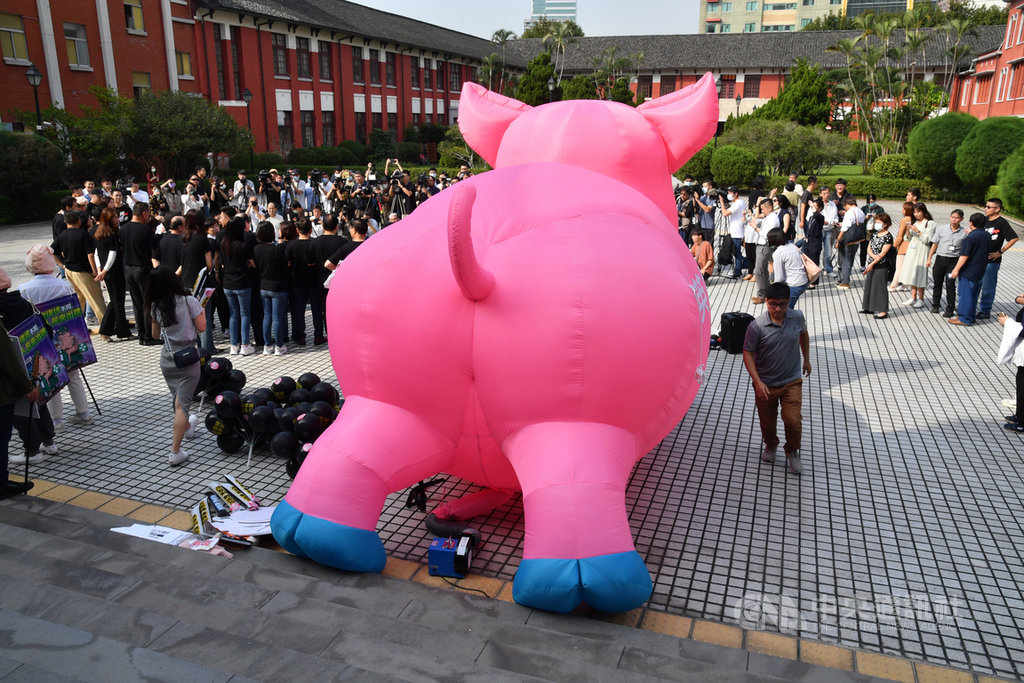 國民黨20日在立法院廣場舉行「秋鬥-反萊豬顧食安大遊行前記者會」,擺放巨大的充氣粉紅豬突顯訴求。中央社記者王飛華攝 109日11月20日