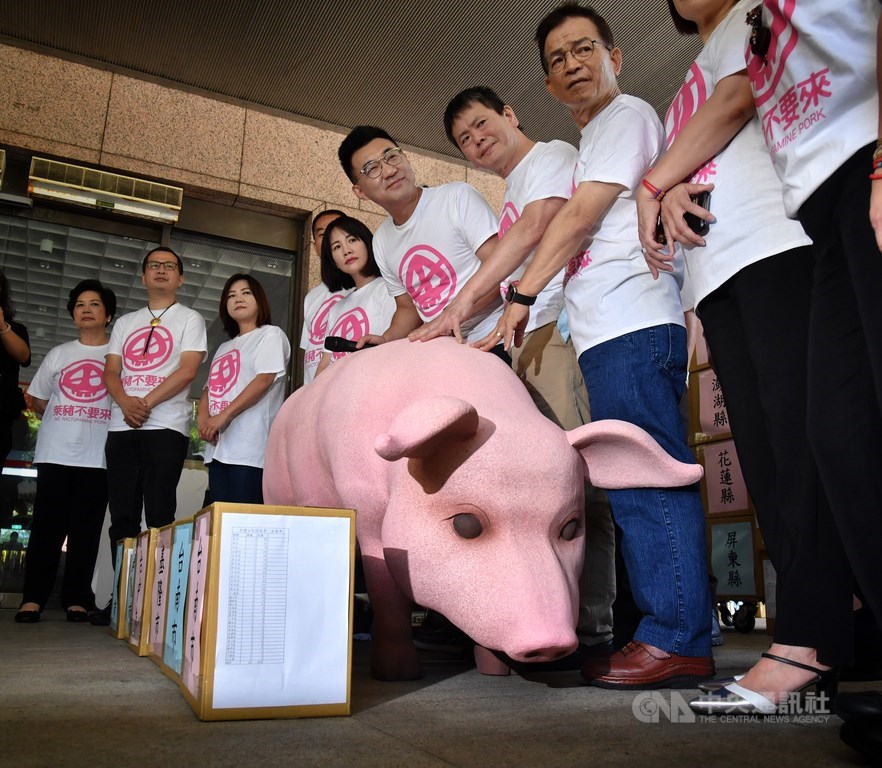 中央選舉委員會20日召開委員會議,決議國民黨發起的「公投綁大選」、「顧食安公投」等兩項全國性公民投票,將函請提案領銜人限期補正。圖為國民黨主席江啟臣(右3)等人9月前往中選會,送交「公投綁大選」、「顧食安公投」第一階段連署書。(中央社檔案照片)