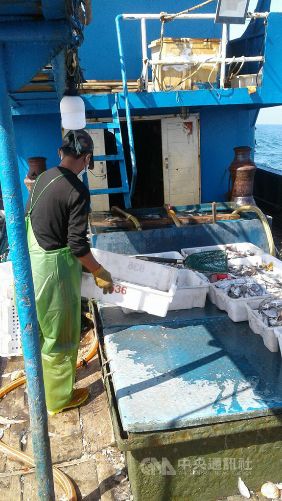 一艘中國福建籍漁船20日越界捕魚遭台中海巡隊查獲,船上漁獲全數依法海拋。(民眾提供)中央社記者趙麗妍傳真 109年11月21日