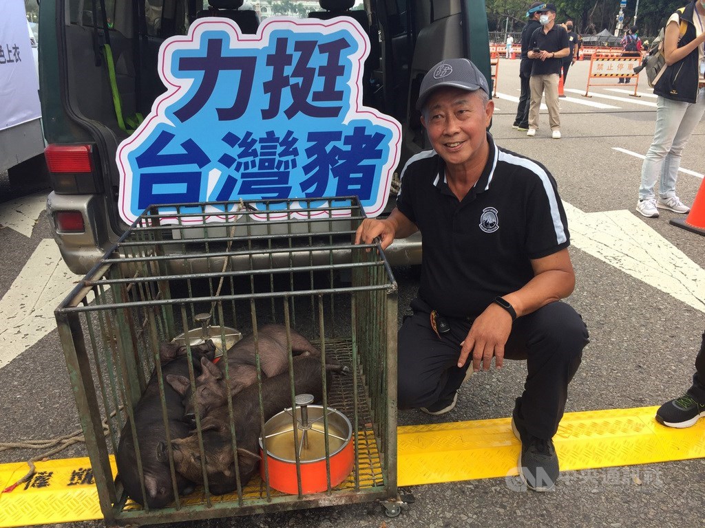 秋鬥遊行22日登場,雲林縣養豬協會理事蔡德福(圖)指出,他載著「三隻小豬」北上,就是呼應總統蔡英文選舉小額募款而起的,希望喚起蔡總統記得她曾說過會跟豬農站在一起等話。中央社記者楊淑閔攝 109年11月22日