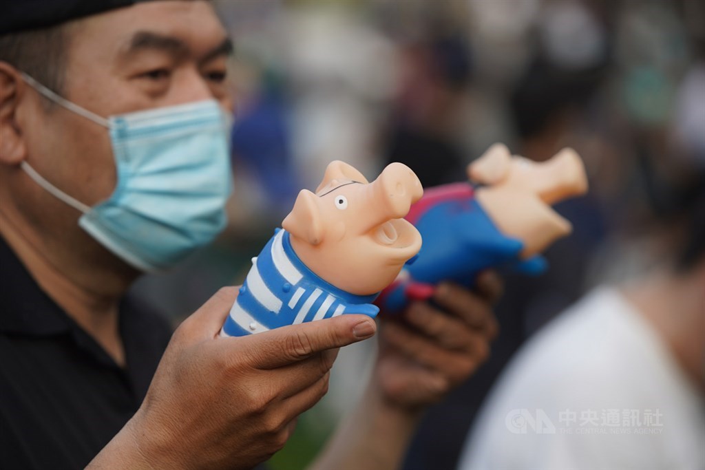 「秋鬥」遊行22日下午登場,遊行隊伍抵達終點民進黨部外,民眾手持玩具豬隻,抗議政府將開放含萊克多巴胺(瘦肉精)美豬進口。中央社記者徐肇昌攝 109年11月22日