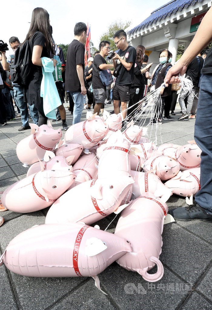 「秋鬥」遊行22日登場,台灣民眾黨重申參與遊行的主軸為「標萊豬、救食安,民眾鬥陣護台灣」,支持者集結參加遊行,造型汽球豬也上陣。中央社記者郭日曉攝 109年11月22日