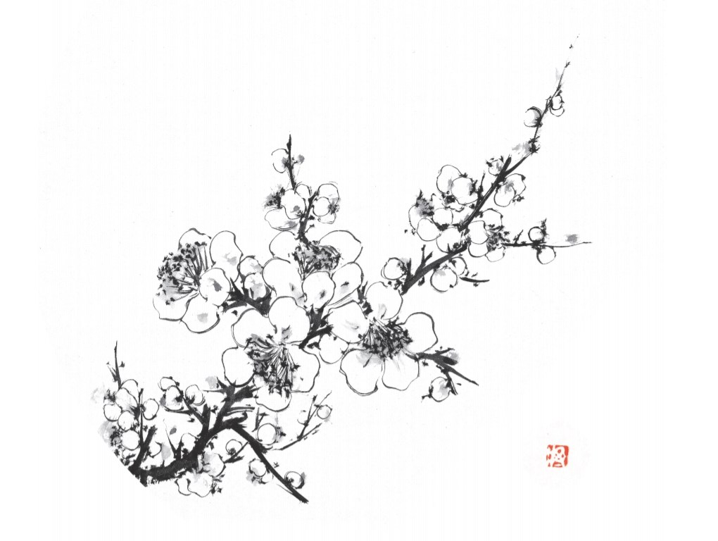砥上裕將為台灣版專程畫了梅花,還用繁體中文寫親筆信問候台灣讀者。(《線,畫出的我》台灣獨家梅花水墨扉頁,砥上裕將繪,圓神出版提供)