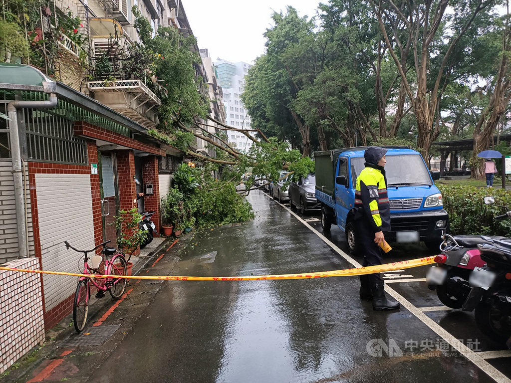 台北市信義區莊敬路巷弄內某公園1日發生路樹倒塌事件,現場兩輛停放路旁的汽車車頂遭波及毀損,傾倒路樹還橫跨馬路,倒在對面民宅陽台上。(翻攝照片)中央社記者黃麗芸傳真 109年12月1日