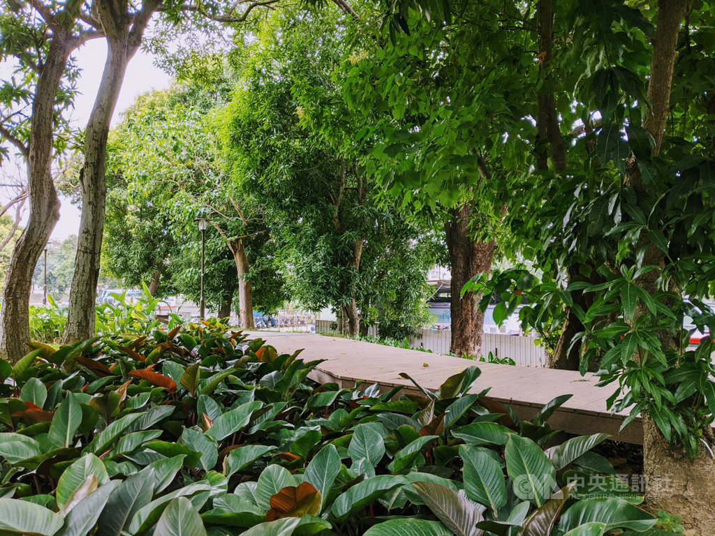 台南市政府4日宣布,座落於北區的長興生態公園已經完工,這座公園緊鄰台南轉運站,毗鄰321巷藝術聚落園區,預定民國110年1月開放。(台南市政府提供)中央社記者張榮祥台南傳真 109年12月4日