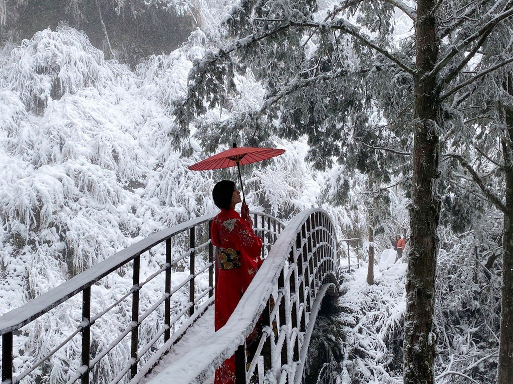 宜蘭太平山現場民眾置身夢幻雪中山城 圖輯 生活 重點新聞 中央社cna