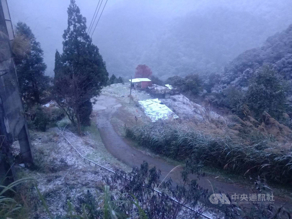 寒流來襲,拉拉山8日凌晨開始飄雪,部分樹林及道路被雪霜覆蓋。(桃園市觀旅局提供)中央社記者葉臻傳真 110年1月8日