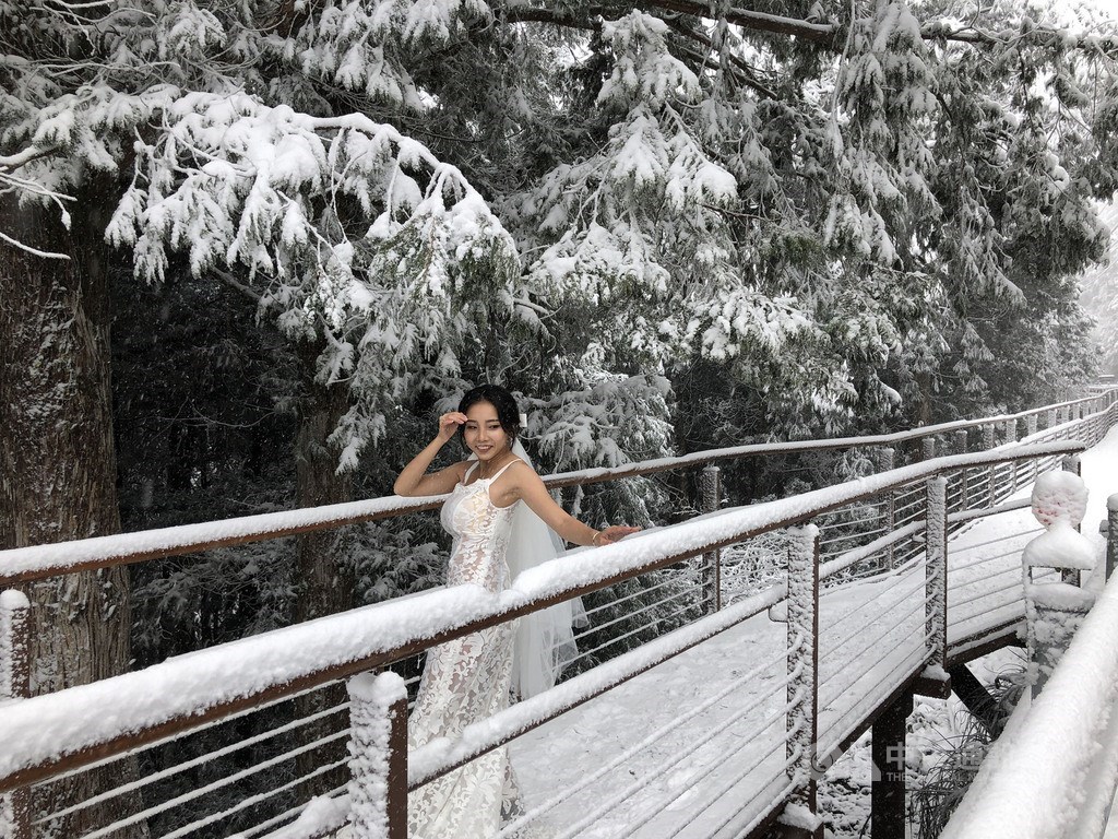 寒流搭配水氣,宜蘭太平山國家森林遊樂區7日晚間開始下雪,8日園區內林道及樹梢都成一片雪白,有民眾上山外拍。中央社記者王騰毅攝 110年1月8日
