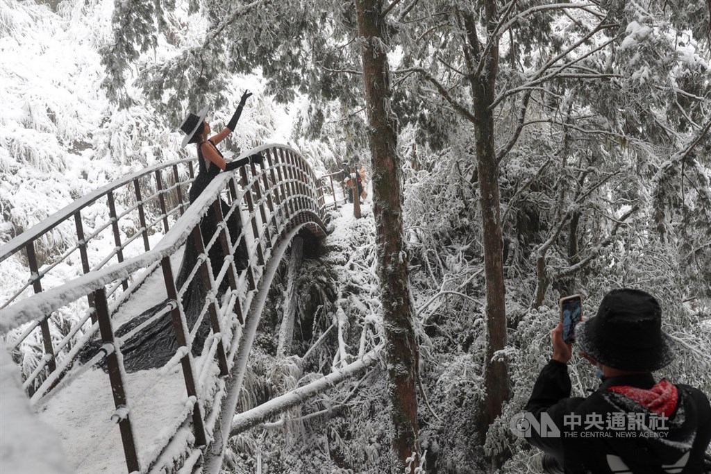 寒流來襲,海拔約1900公尺高的太平山國家森林遊樂區7日晚間起下雪,8日見晴古道一片雪白,化身銀白世界,吸引許多遊客上山賞雪拍照。中央社記者吳家昇攝 110年1月8日