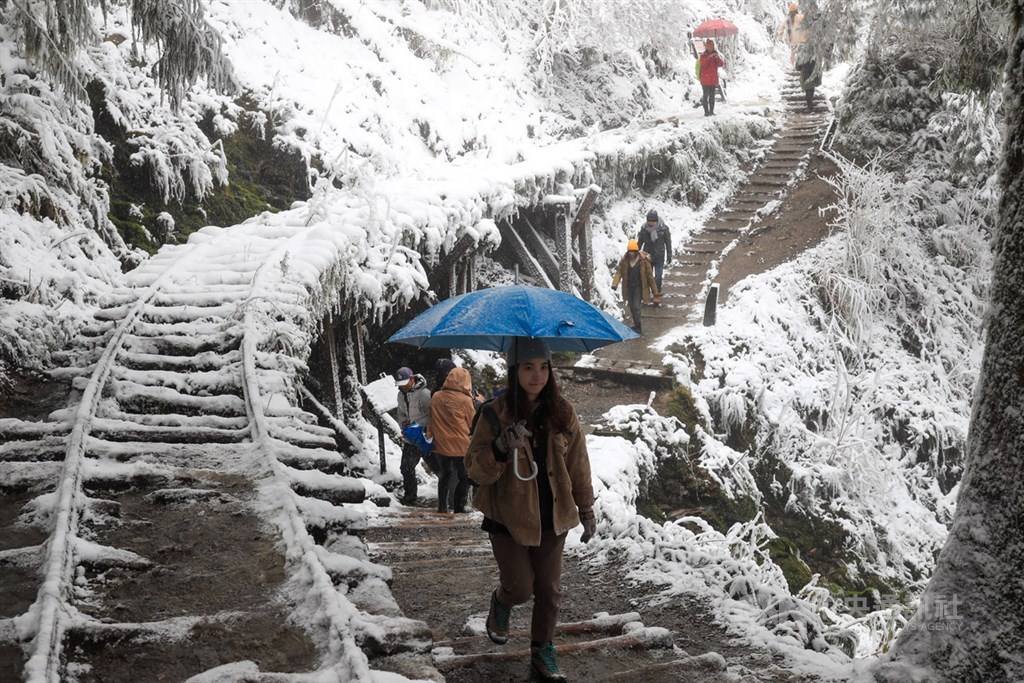 太平山國家森林遊樂區見晴古道8日覆蓋上白雪,一片銀白色宛如雪國。中央社記者吳家昇攝 110年1月8日
