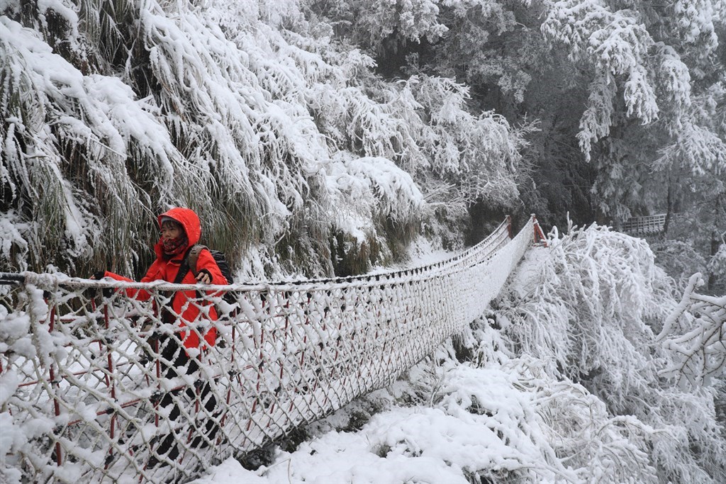 海拔約1900公尺的宜蘭太平山國家森林遊樂區7日晚間飄下雪花,8日山間積雪,遊客走訪知名的見晴懷古步道,視線所及都成銀白世界。中央社記者吳家昇攝 110年1月8日