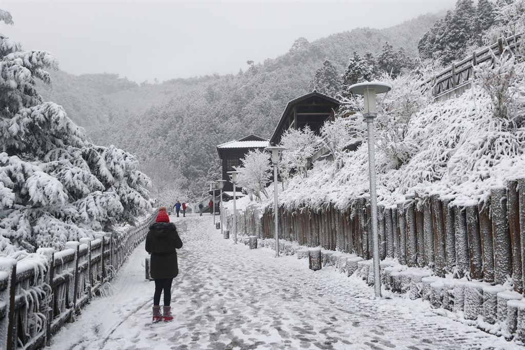 寒流搭配水氣,宜蘭太平山國家森林遊樂區7日晚間陸續下雪,成一片銀白世界,8日一早遊客在園區內散步賞雪。中央社記者王騰毅攝 110年1月8日