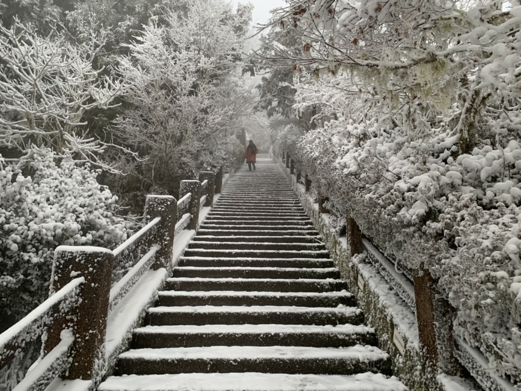 宜蘭太平山積雪15公分追雪族湧入車流回堵午後禁入太平山莊 生活 重點新聞 中央社cna