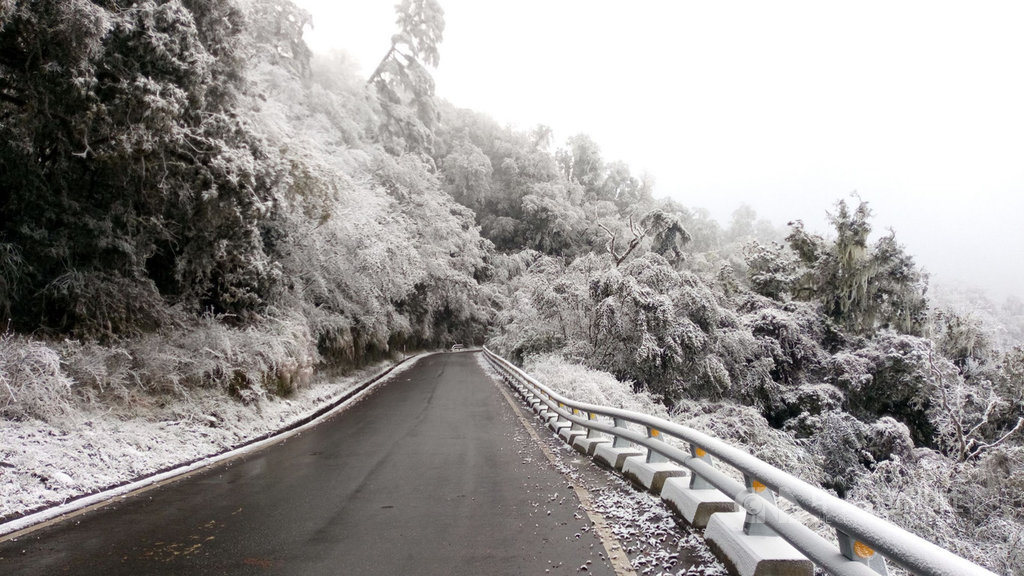 寒流一波波,台東向陽山區10日清晨下雪,是入冬以來第一次下雪,樹梢上積雪約2、3公分。(關山警分局提供)中央社記者李先鳳傳真 110年1月10日