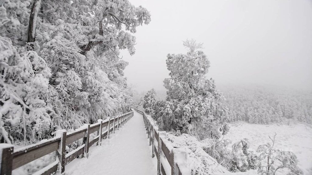 优享资讯 宜兰太平山11 12日中午起禁入园冷气团来袭