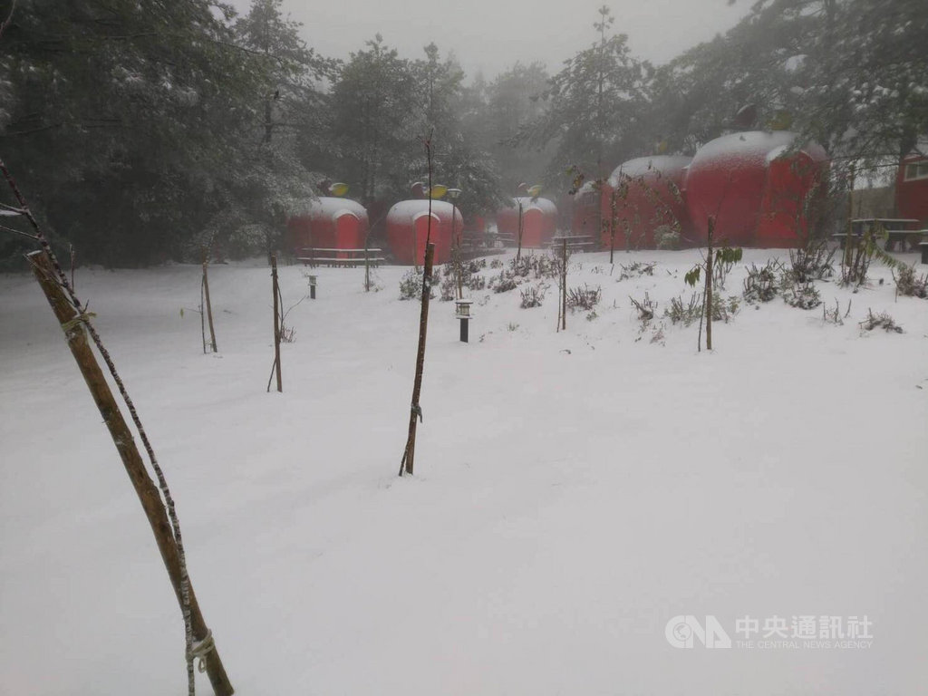 台中市和平區的福壽山農場12日凌晨再度降雪,露營區的蘋果帳篷被白雪覆蓋,好像被灑了糖霜。(福壽山農場提供)中央社記者趙麗妍傳真 110年1月12日