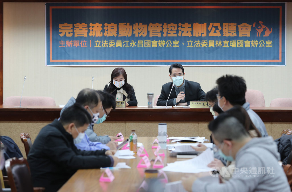 民進黨立委江永昌(後右)、林宜瑾(後左)12日在立法院舉辦「完善流浪動物管控法制」公聽會,邀請專家學者與民間團體與會討論。中央社記者張皓安攝 110年1月12日