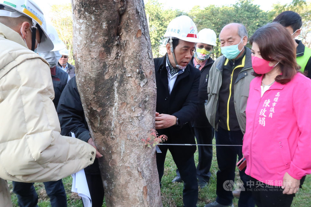 高雄市區鐵路地下化全長15.37公里,市府將軌道地下化後的廊道責成水利局、新建工程處及養護工程處分別辦理左營、高雄及鳳山計畫3段園道開闢工程,副市長林欽榮(中)13日勘查左營計畫,並宣示全線會趕在農曆春節前開放76.5%平面園道,供市民走春打卡。中央社記者王淑芬攝 110年1月13日