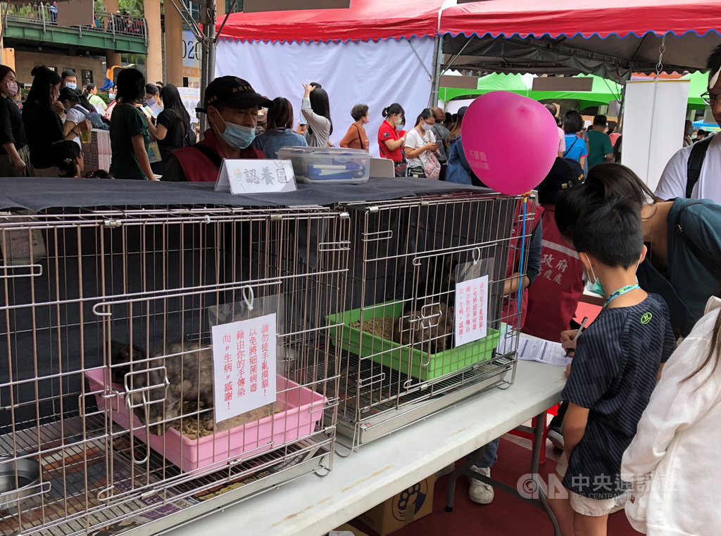 新北市動保處持續辦理動物認養宣導活動,並籲民眾對待寵物應如同家人,善盡飼主責任勿隨意棄養。(新北市動保處提供)中央社記者王鴻國傳真 110年1月14日