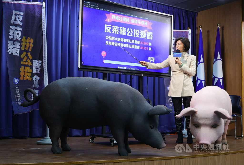 國民黨文傳會主委王育敏(圖)14日在記者會中宣布,國民黨設置公投連署網站正式啟用,網站上除了放置兩項公投案的連署書,提供民眾下載填寫後寄回黨部,並可查詢附近的友善連署點,便利民眾參與連署。中央社記者謝佳璋攝 110年1月14日
