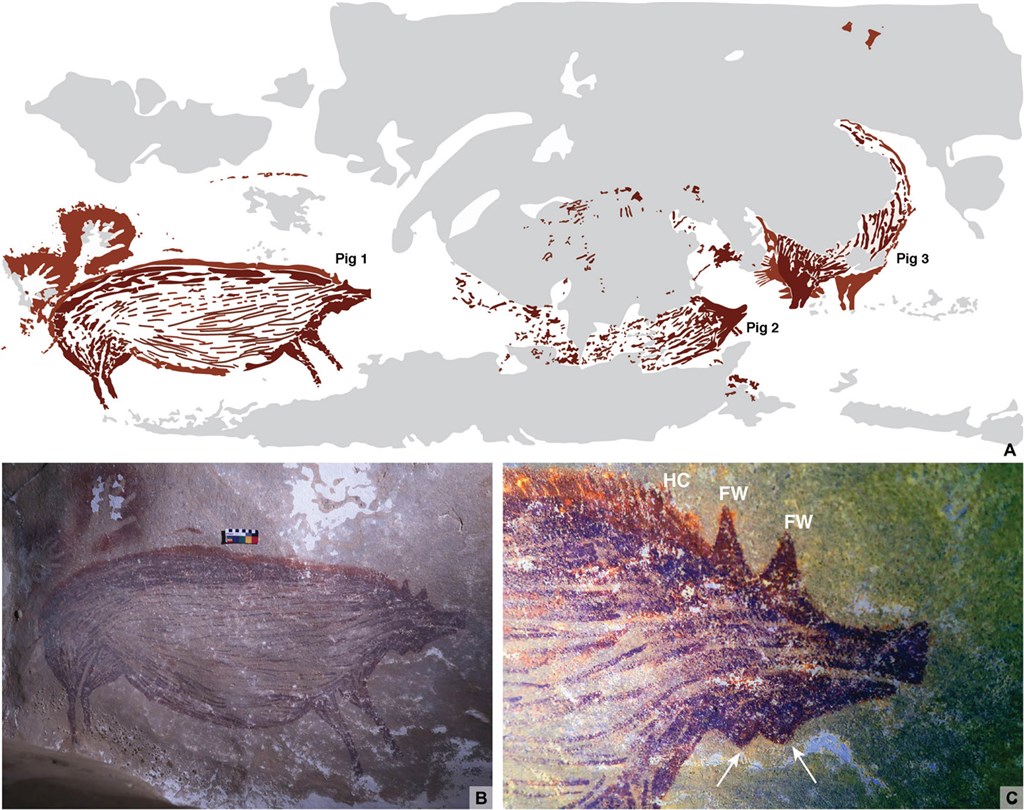 考古学家在印尼发现世界上最古老的洞穴壁画。上图为数位版壁画；下图为野猪壁画。（图取自科学先端网页advances.sciencemag.org）