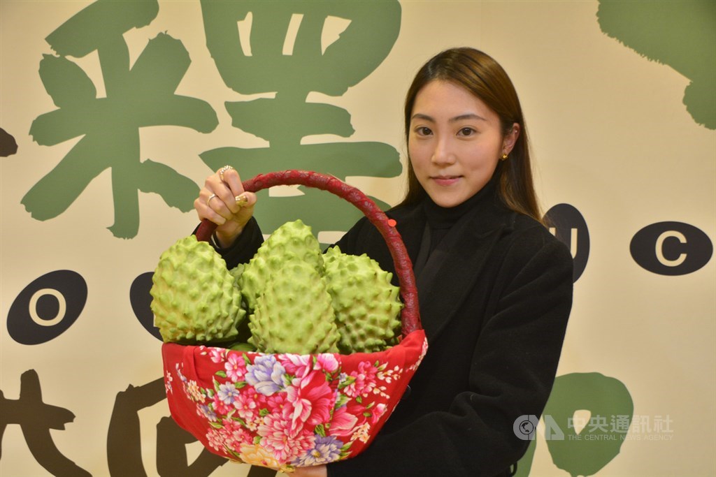 台東縣長饒慶鈴15日與台東縣政府、台東農產公司等團隊北上新北市府行銷釋迦,這次主打的鳳梨釋迦不僅籽粒稀少,甜度高達26度,口感甜酸又綿密,還帶有淡雅的鳳梨香氣,且富含維生素與膳食纖維。中央社記者黃旭昇新北市攝 110年1月15日