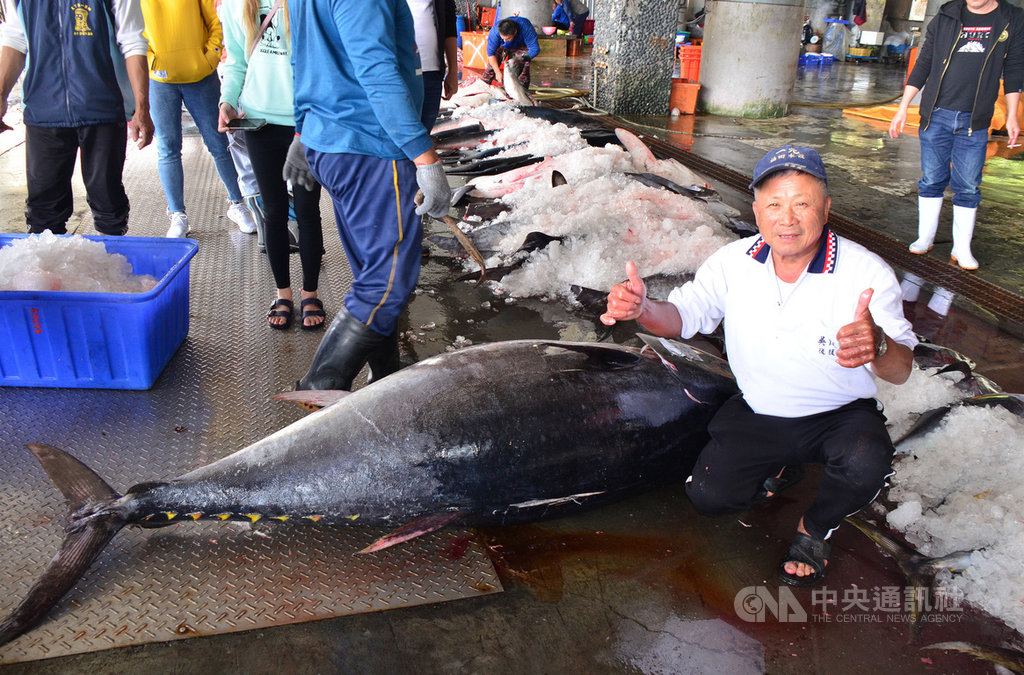 新港籍漁船「漁得順號」成功捕獲今年第一尾黑鮪魚,重達193公斤,下午在新港漁港上岸,吸引大批民眾關注,也順利以新台幣11萬7730元拍出,讓船長林賢得(前右)直呼「超爽的」。中央社記者盧太城台東攝 110年1月16日